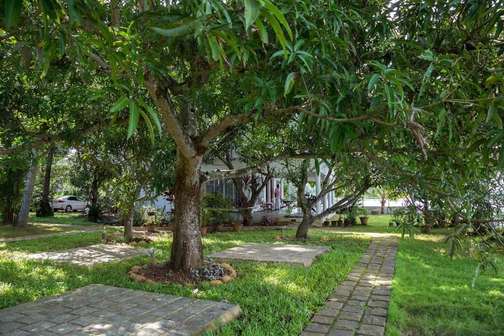 Orchid Lake View Homestay Alappuzha Экстерьер фото